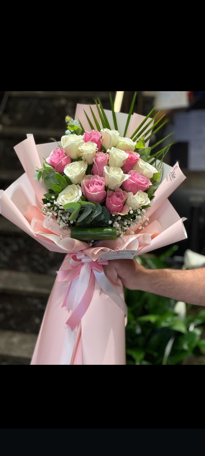Pembe ve Beyaz Güller