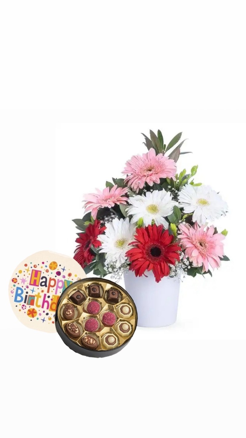Vazoda Gerbera ve Doğum Günü Temalı Çikolata