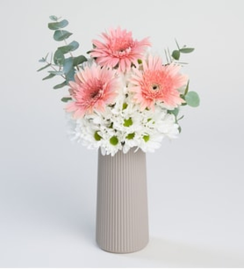 BEJ VAZODA PAPATYA VE PEMBE GERBERA